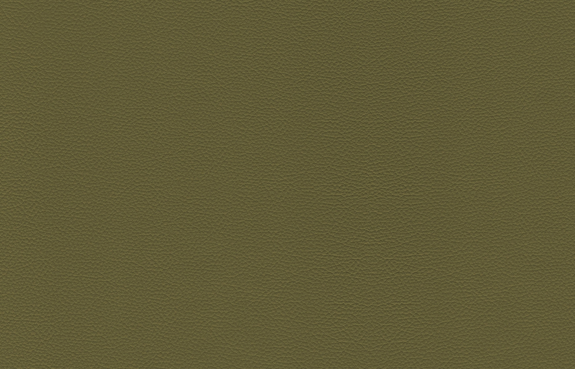 greenhides_sierra_olive_web.jpg