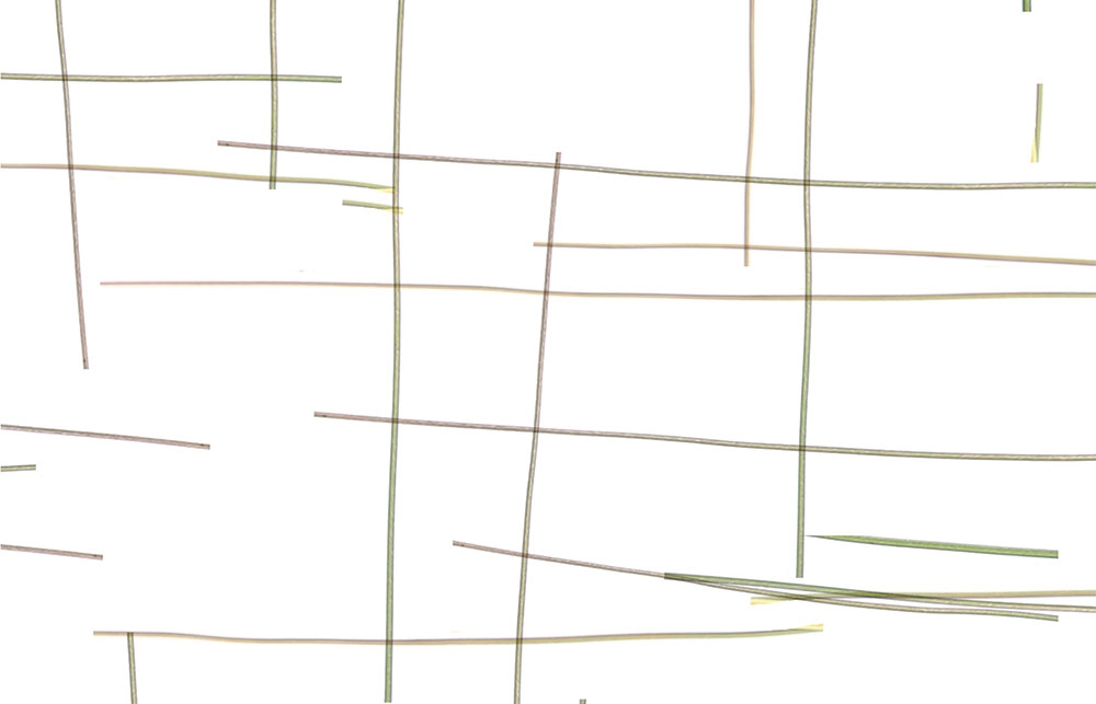 Acrylic TGWA IndianaFurniture Twigwork